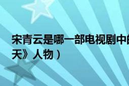 宋青云是哪一部电视剧中的角色?（叶青云 电视剧《飞龙在天》人物）