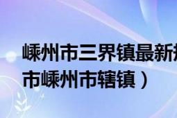 嵊州市三界镇最新规划（三界镇 浙江省绍兴市嵊州市辖镇）