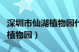 深圳市仙湖植物园什么时候开放（深圳市仙湖植物园）