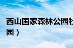 西山国家森林公园牡丹（江苏西山国家森林公园）