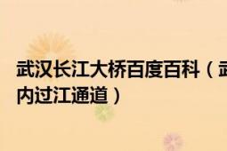 武汉长江大桥百度百科（武汉长江大桥 中国湖北省武汉市境内过江通道）