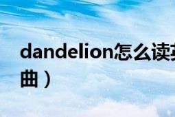 dandelion怎么读英语（Dandelion 英文歌曲）