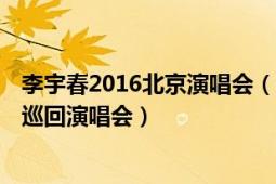 李宇春2016北京演唱会（我的 2007年李宇春“我的”全国巡回演唱会）