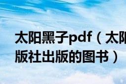 太阳黑子pdf（太阳黑子 2010年上海文艺出版社出版的图书）