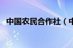 中国农民合作社（中国农民合作社信息网）