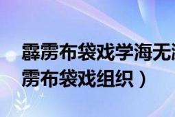 霹雳布袋戏学海无涯血流成河（学海无涯 霹雳布袋戏组织）