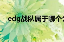 edg战队属于哪个公司（EDG 企业名称）