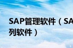 SAP管理软件（SAP 德国开发的企业管理系列软件）