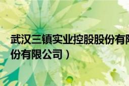 武汉三镇实业控股股份有限公司官网（武汉三镇实业控股股份有限公司）