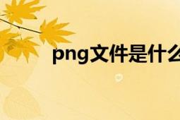 png文件是什么意思（PNG文件）