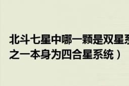 北斗七星中哪一颗是双星系统天数一开阳六（开阳 北斗七星之一本身为四合星系统）