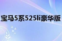 宝马5系525li豪华版（宝马5系525Li典雅型）