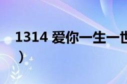 1314 爱你一生一世（1314 沙宝亮演唱歌曲）