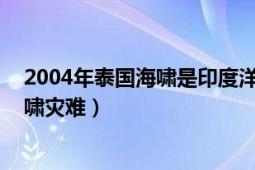 2004年泰国海啸是印度洋海啸吗（印度洋海啸 最惨重的海啸灾难）