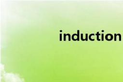 induction（Induction）