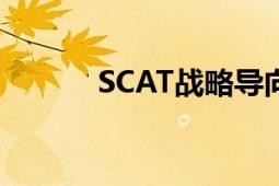 SCAT战略导向型人才培训服务