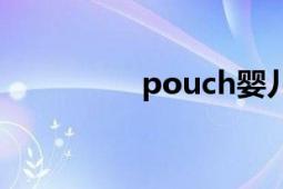 pouch婴儿车（pouch）