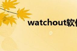 watchout软件（WatchOut）