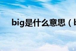 big是什么意思（bigmam是什么意思）