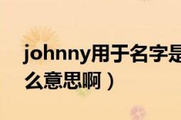 johnny用于名字是什么意思（Johnny是什么意思啊）