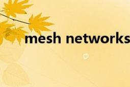 mesh networks（Mesh Network）