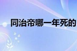 同治帝哪一年死的（同治帝是怎么死的）