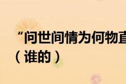 “问世间情为何物直教人生死相许”出自什么（谁的）