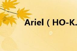 Ariel（HO-KJAER的着装风格）