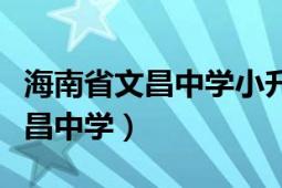 海南省文昌中学小升初录取分数线（海南省文昌中学）