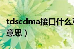 tdscdma接口什么意思（TD-SCDMA是什么意思）