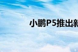 小鹏P5推出新车型（小鹏P5）