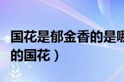 国花是郁金香的是哪个国（郁金香是哪个国家的国花）