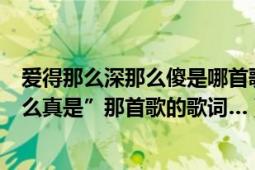 爱得那么深那么傻是哪首歌的歌词（“…爱的那么深爱的那么真是”那首歌的歌词…）