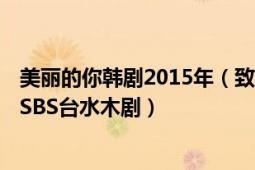 美丽的你韩剧2015年（致美丽的你 韩国2012年崔雪莉主演SBS台水木剧）