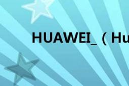 HUAWEI_（Huawei Ascend P2）