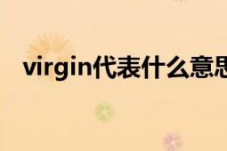 virgin代表什么意思（virgin是什么意思）