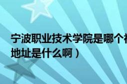 宁波职业技术学院是哪个社区的（宁波职业技术学院的详细地址是什么啊）