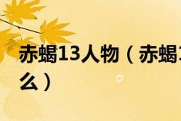 赤蝎13人物（赤蝎13中12个寄生人分别叫什么）