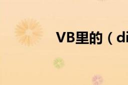 VB里的（dim是什么意思）