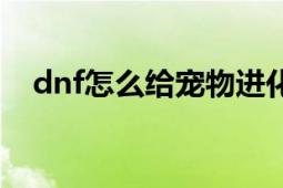 dnf怎么给宠物进化（dnf宠物怎么进化）