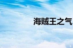 海贼王之气（海贼王之气）