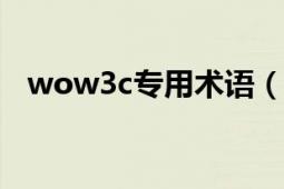 wow3c专用术语（WOW3C的专业术语）