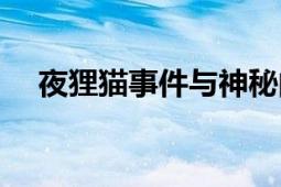 夜狸猫事件与神秘的机构（夜狸猫事件）