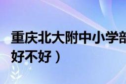 重庆北大附中小学部收费标准（重庆北大附中好不好）