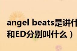 angel beats是讲什么的（AngelBeats的OP和ED分别叫什么）