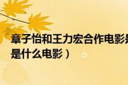 章子怡和王力宏合作电影是哪一部（章子怡和王力宏主演的是什么电影）