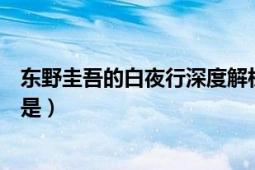 东野圭吾的白夜行深度解析（关于东野圭吾《白夜行》内容是）