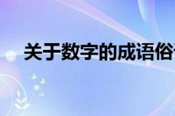 关于数字的成语俗语（数字俗语有哪些）