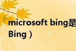 microsoft bing是什么浏览器（Microsoft Bing）