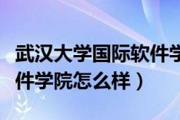 武汉大学国际软件学院自考（武汉大学国际软件学院怎么样）